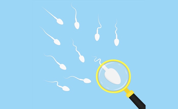 Male Infertility