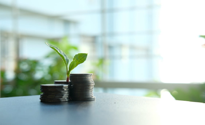 Debt Repayment Plan